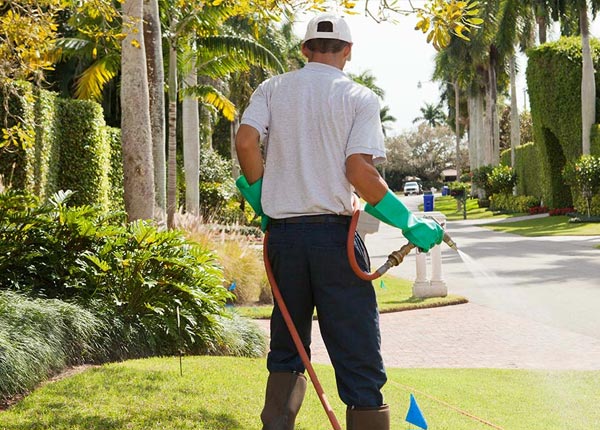 About What Cheer IA Pest Control